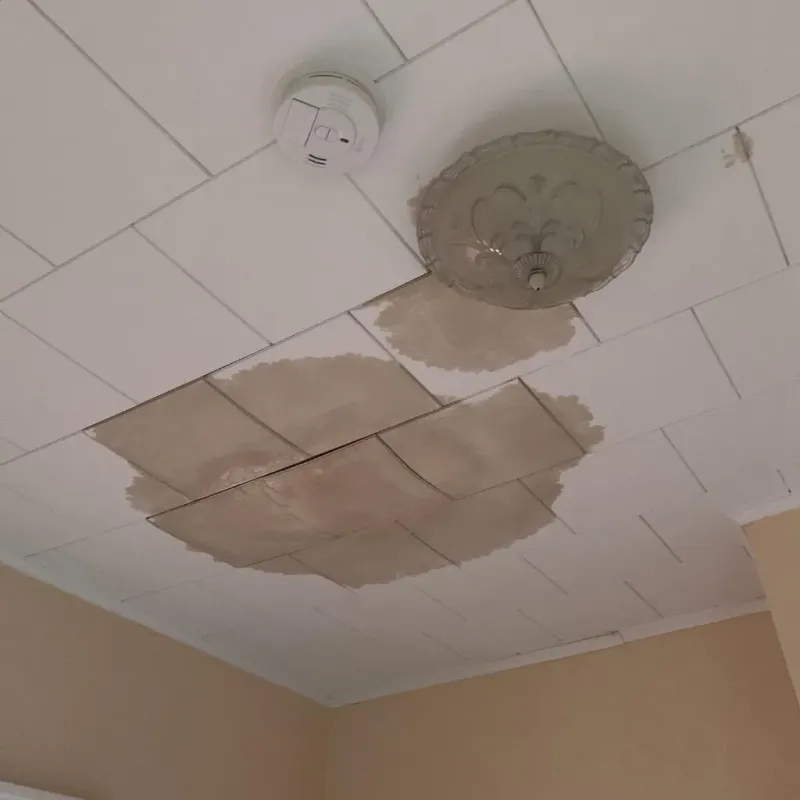 Ceiling Water Damage Repair in Hollis, NH
